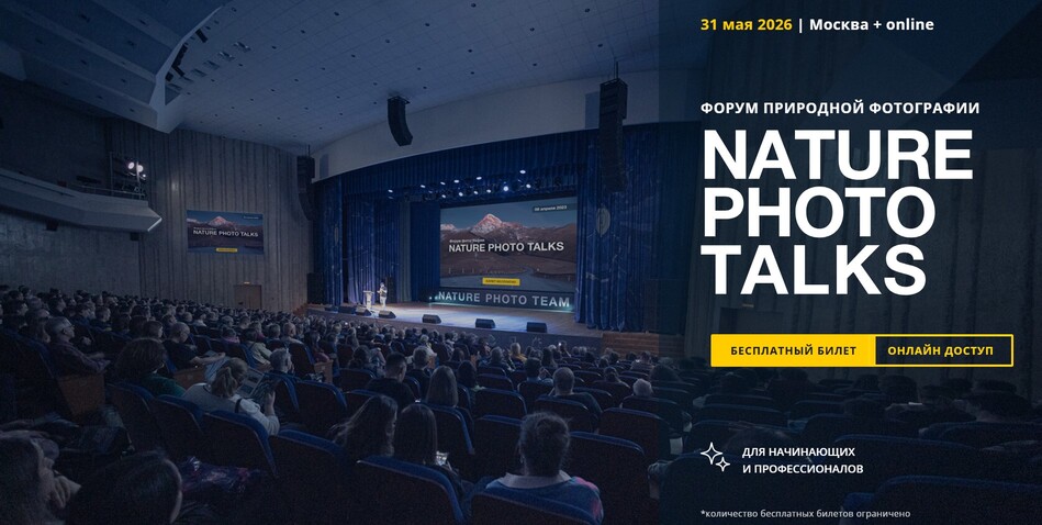 Godox на Nature Photo Talks 2026: форум природной фотографии