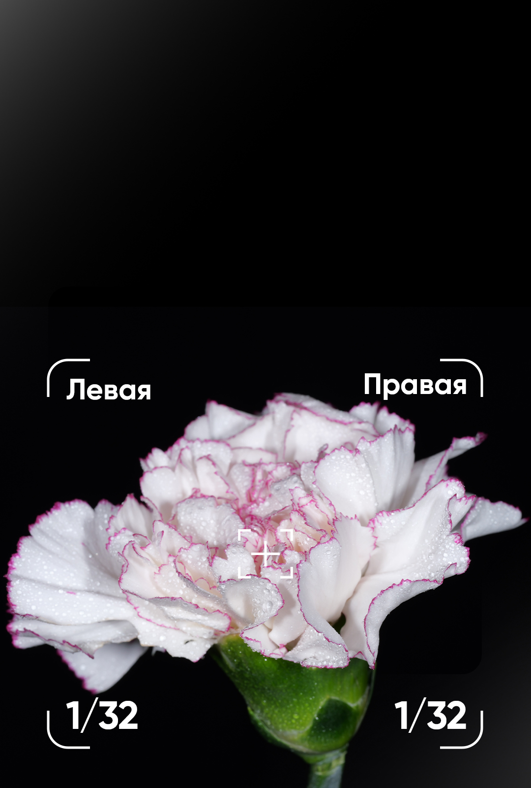 MF-T76_09.jpg