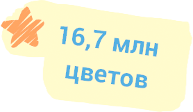 16,7 млн цветов