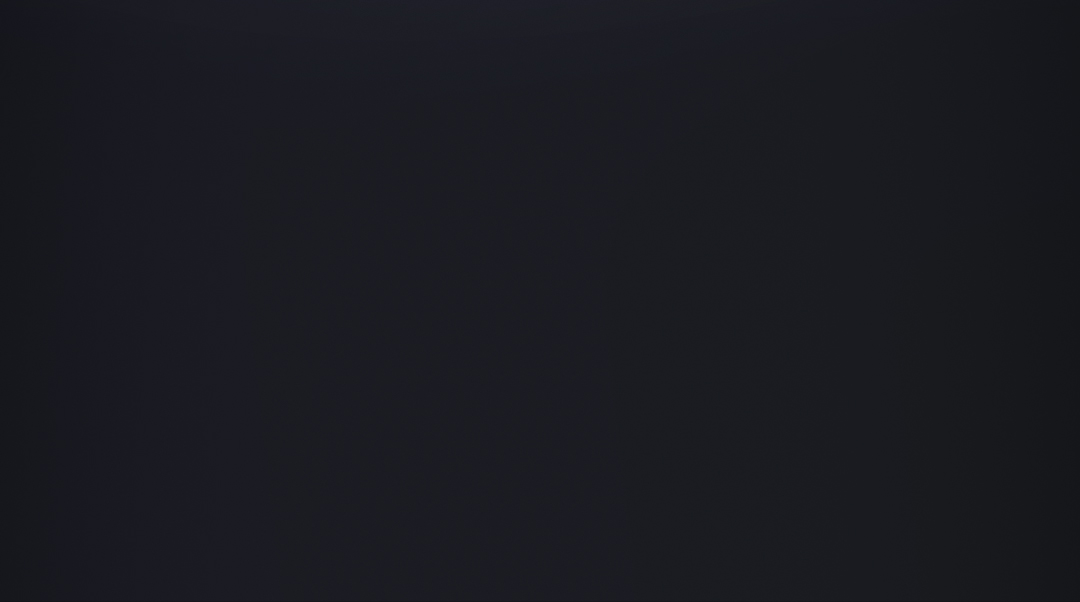 PB1000_02.jpg